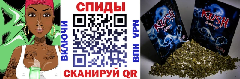 закладка Райчихинск Бутират BDO