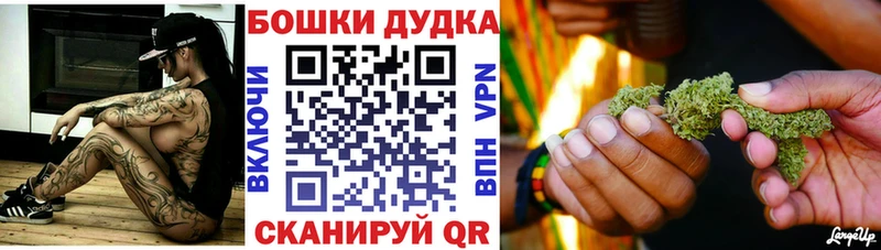 где найти   Райчихинск  Марихуана индика 
